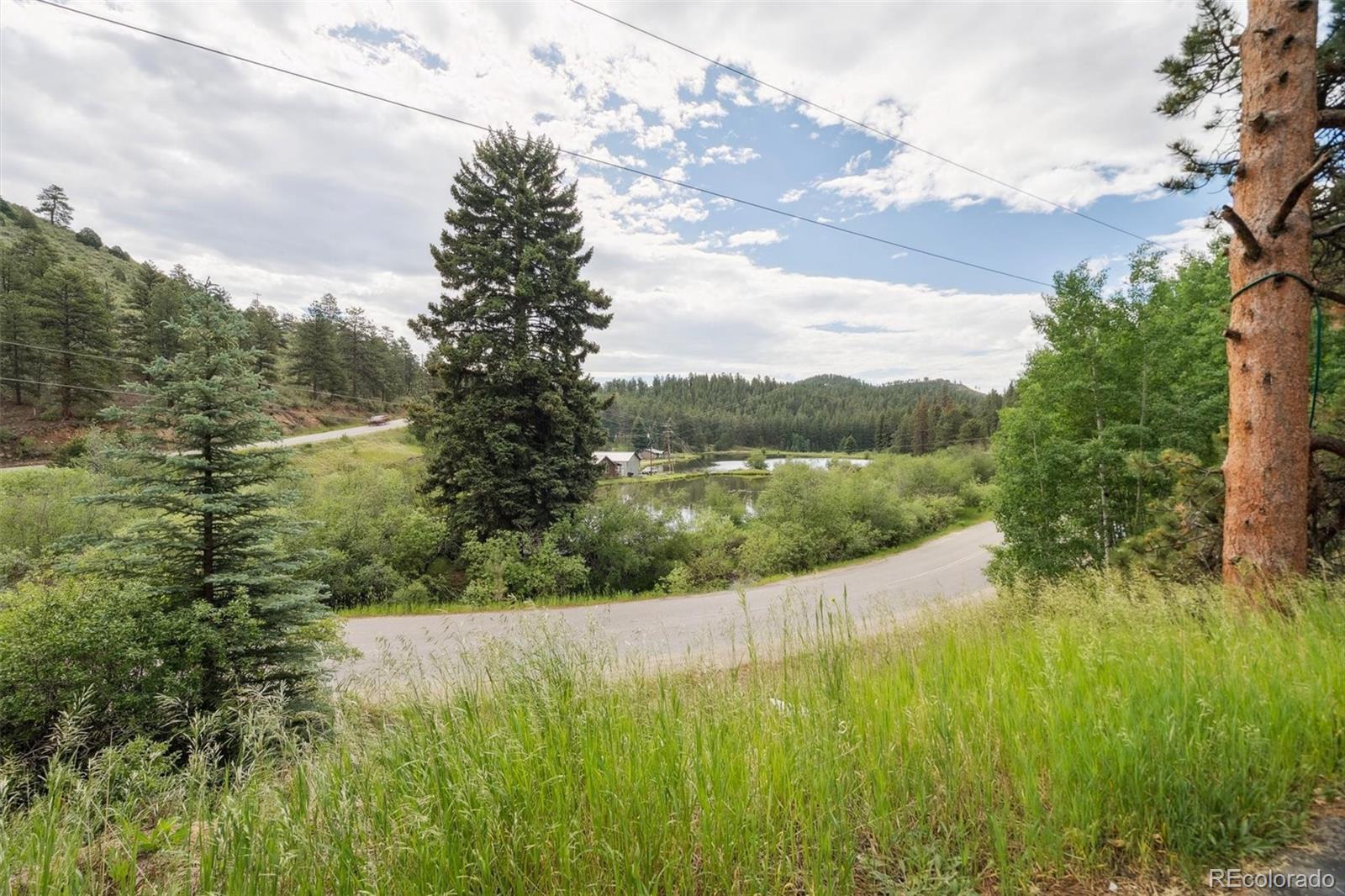 MLS Image #29 for 3909  county road 72 ,bailey, Colorado