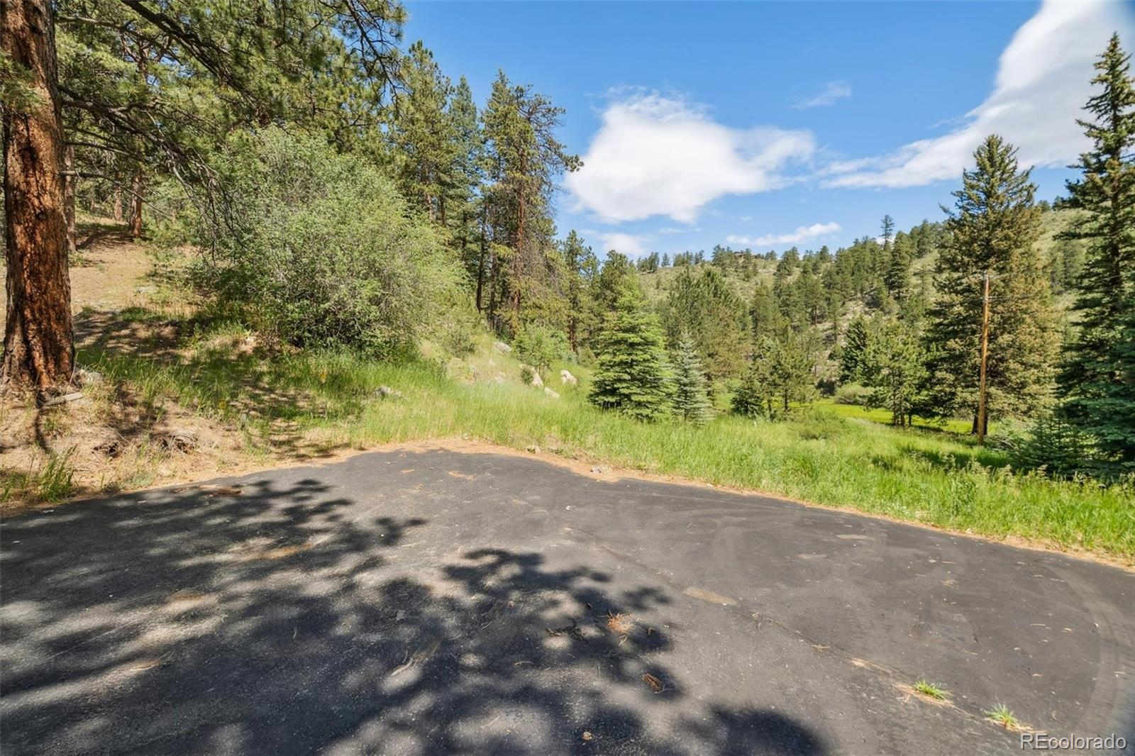 MLS Image #30 for 3909  county road 72 ,bailey, Colorado