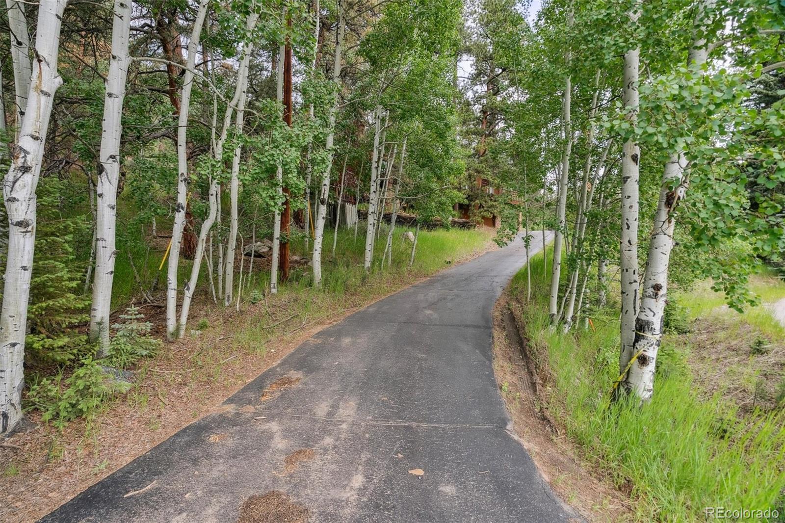 MLS Image #32 for 3909  county road 72 ,bailey, Colorado