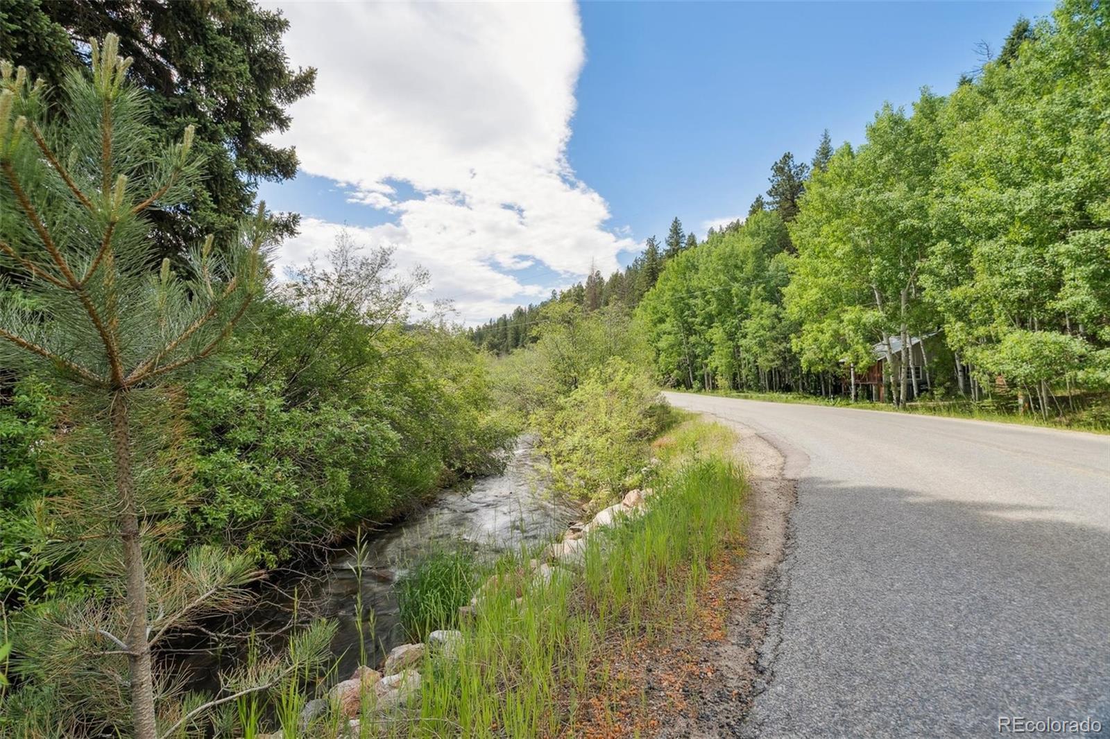 MLS Image #33 for 3909  county road 72 ,bailey, Colorado