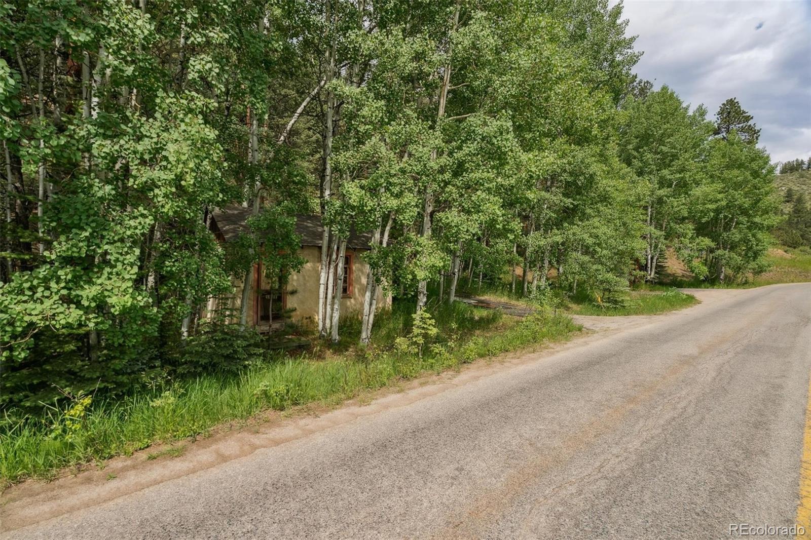 MLS Image #46 for 3909  county road 72 ,bailey, Colorado
