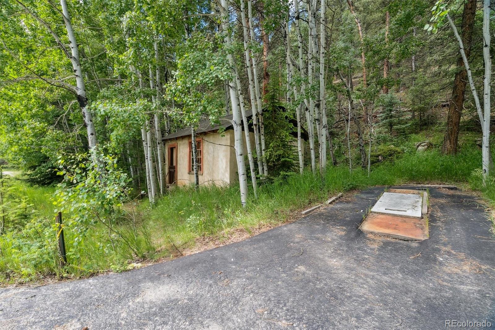 MLS Image #47 for 3909  county road 72 ,bailey, Colorado