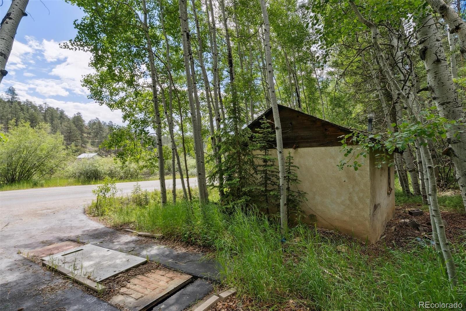 MLS Image #48 for 3909  county road 72 ,bailey, Colorado