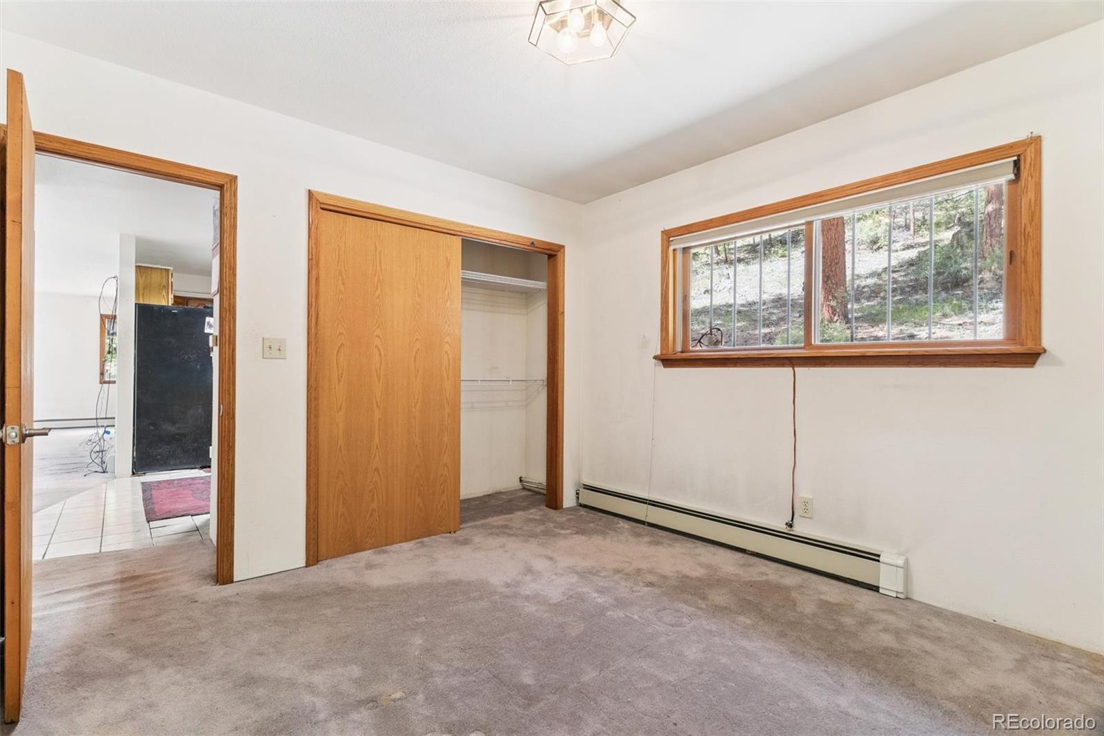 MLS Image #7 for 3909  county road 72 ,bailey, Colorado