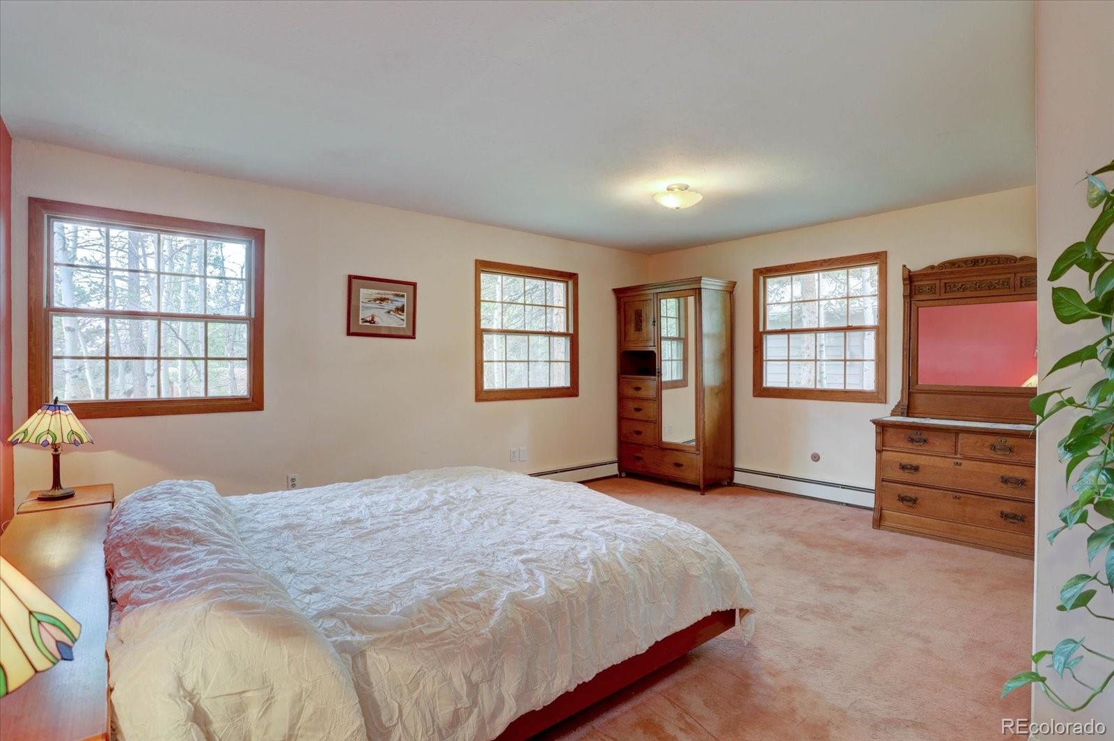 MLS Image #15 for 28858  richmond hill road,conifer, Colorado