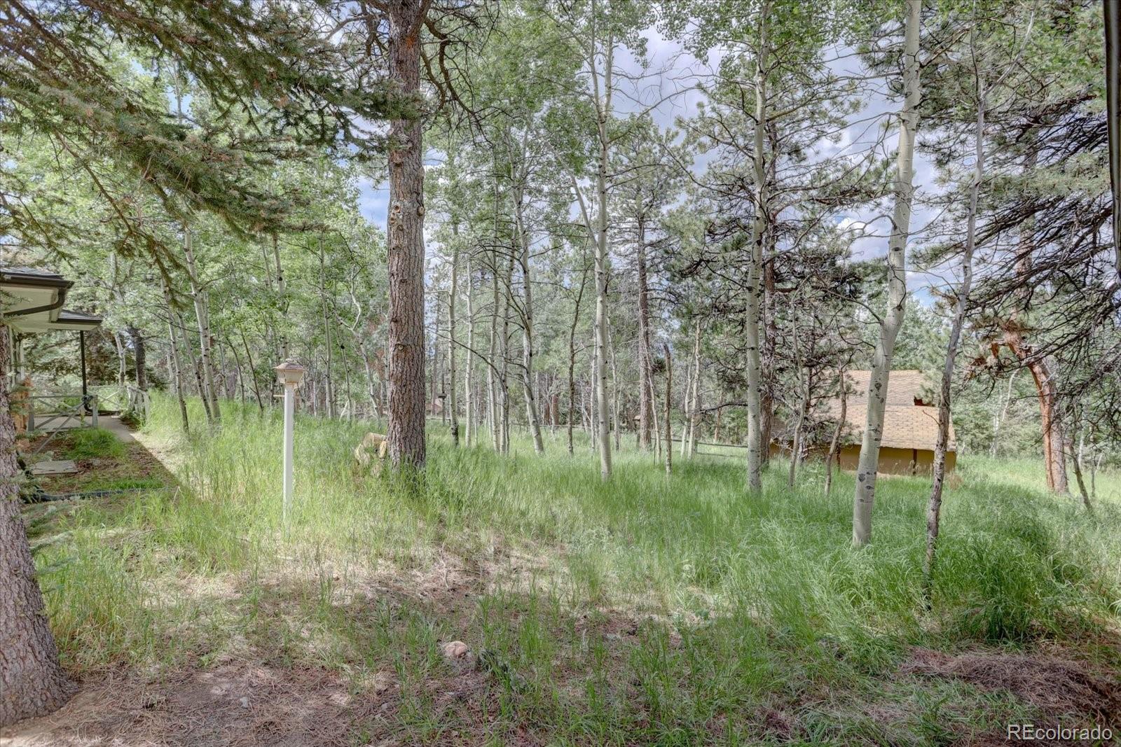 MLS Image #30 for 28858  richmond hill road,conifer, Colorado