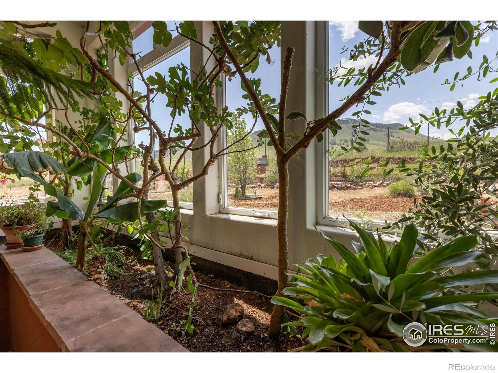 MLS Image #8 for 108  lonestar road,lyons, Colorado