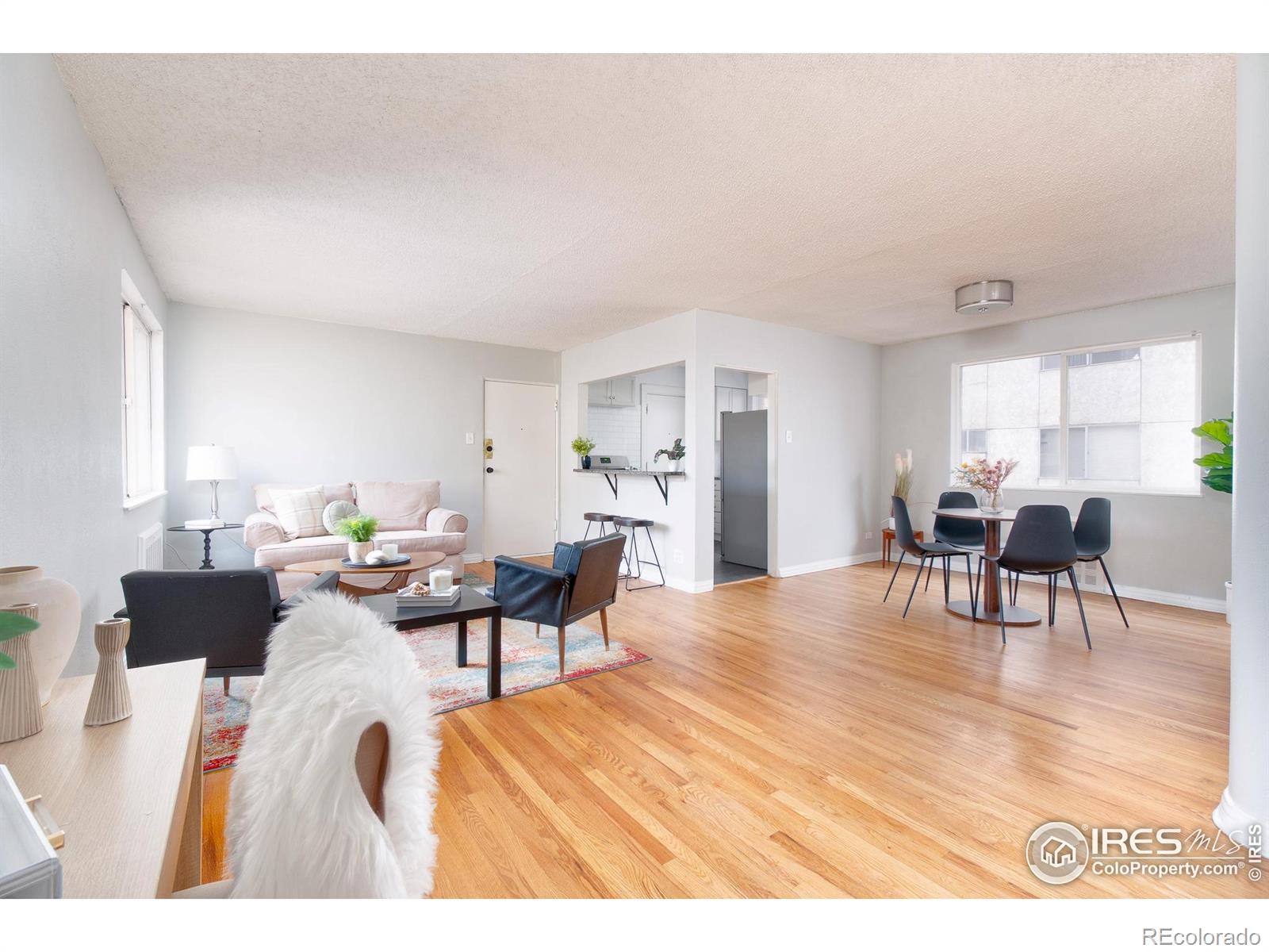 MLS Image #10 for 1100  colorado boulevard,denver, Colorado