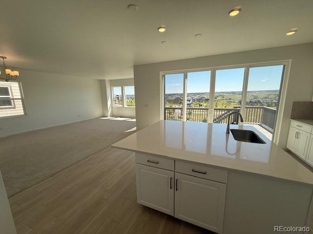 MLS Image #2 for 13350  blue amber court,parker, Colorado