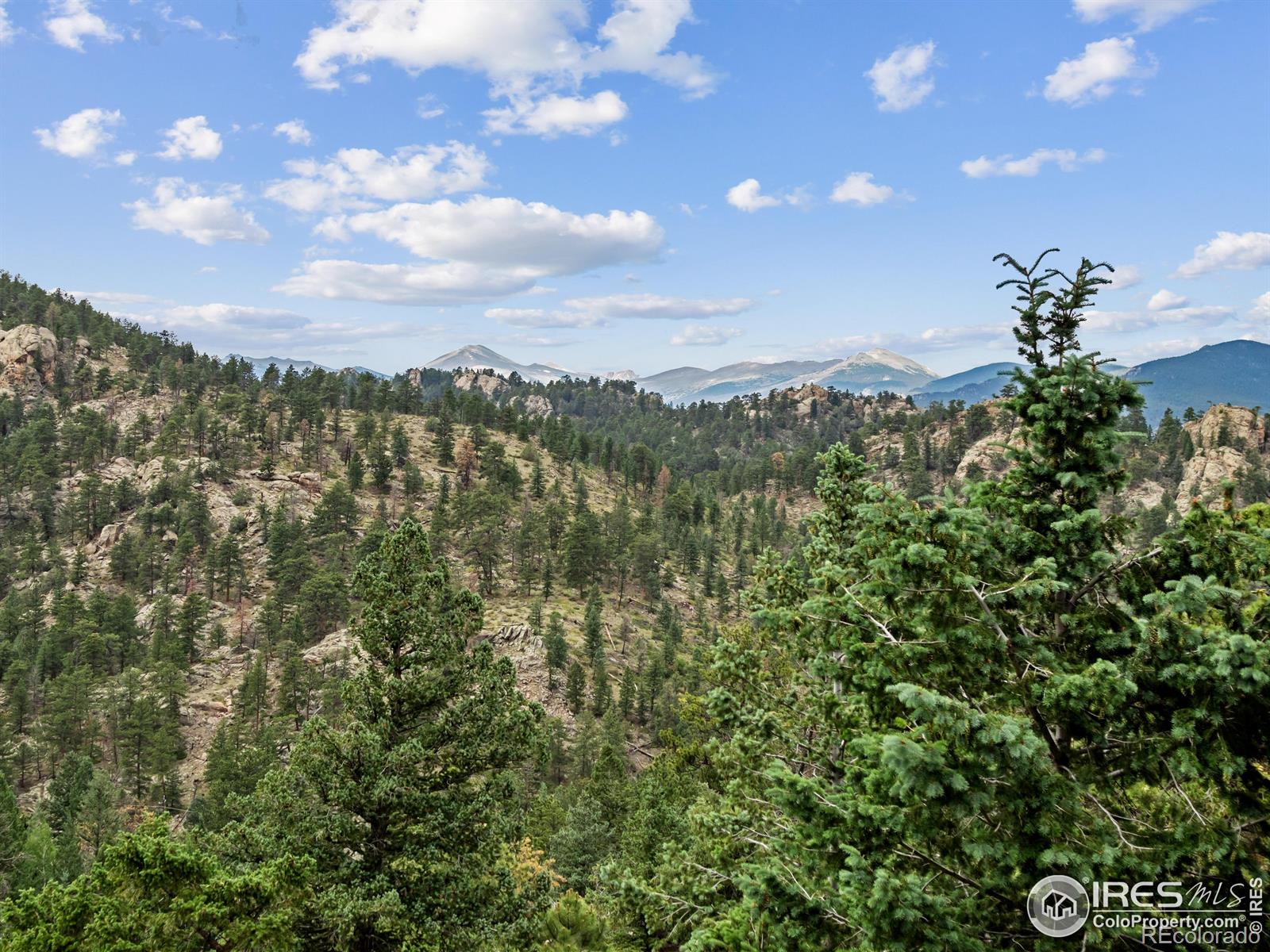 MLS Image #13 for 6260  county road 43 road,estes park, Colorado