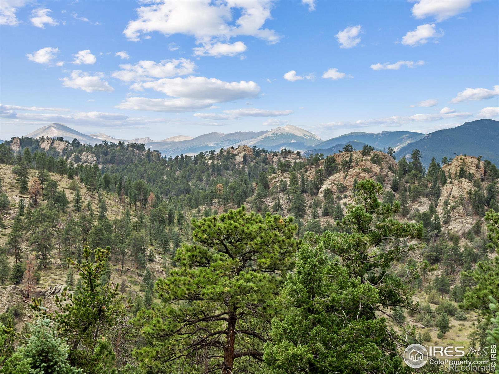 MLS Image #2 for 6260  county road 43 road,estes park, Colorado