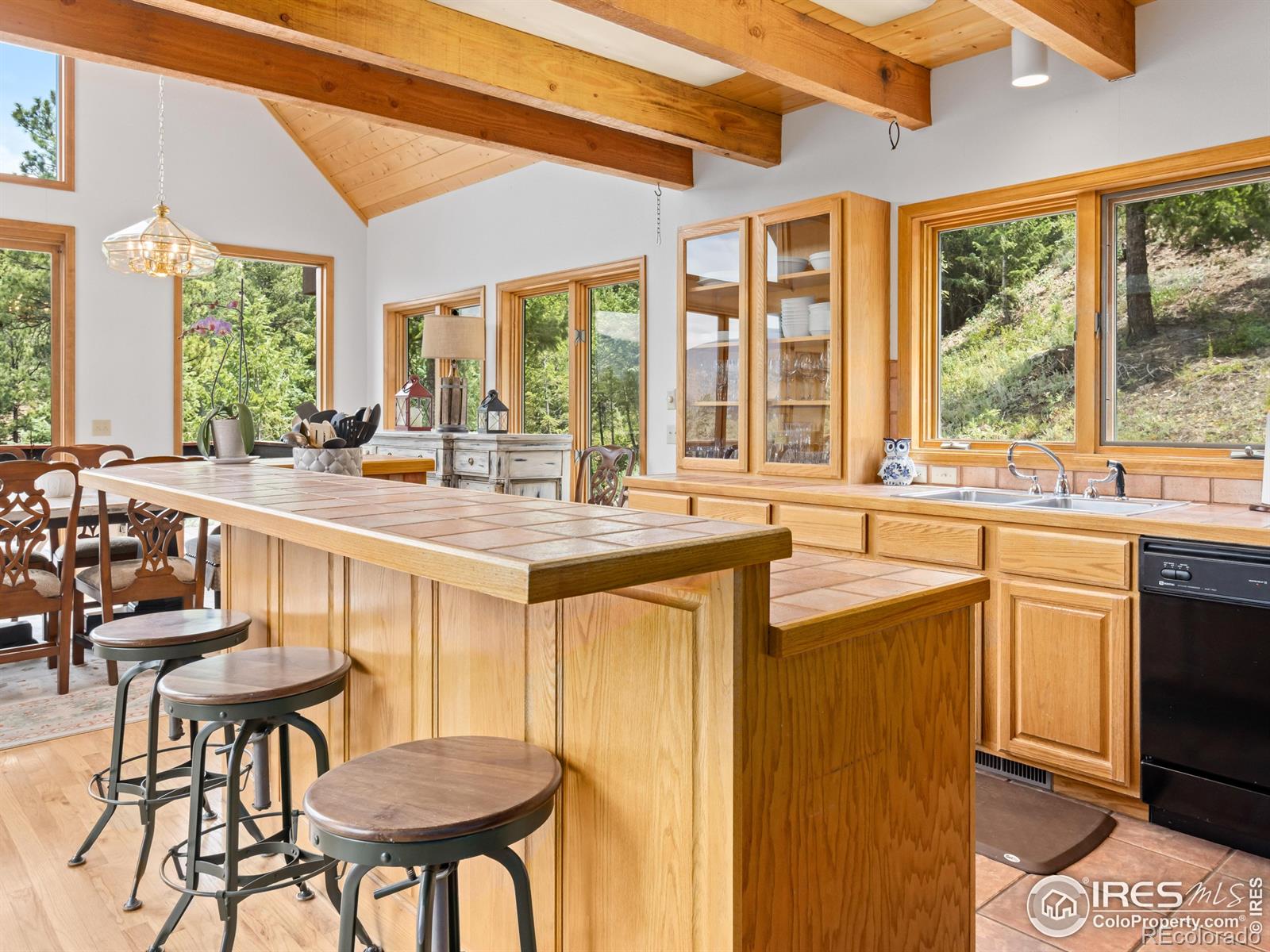 MLS Image #21 for 6260  county road 43 road,estes park, Colorado