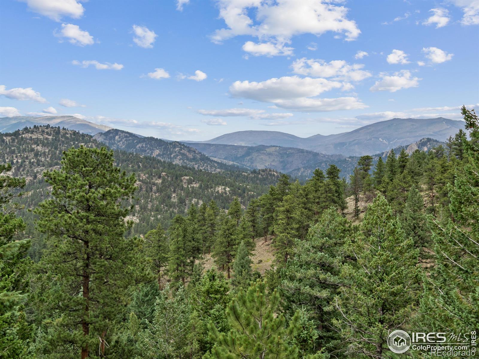 MLS Image #33 for 6260  county road 43 road,estes park, Colorado