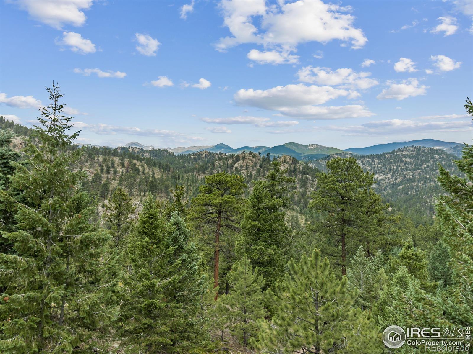 MLS Image #6 for 6260  county road 43 road,estes park, Colorado