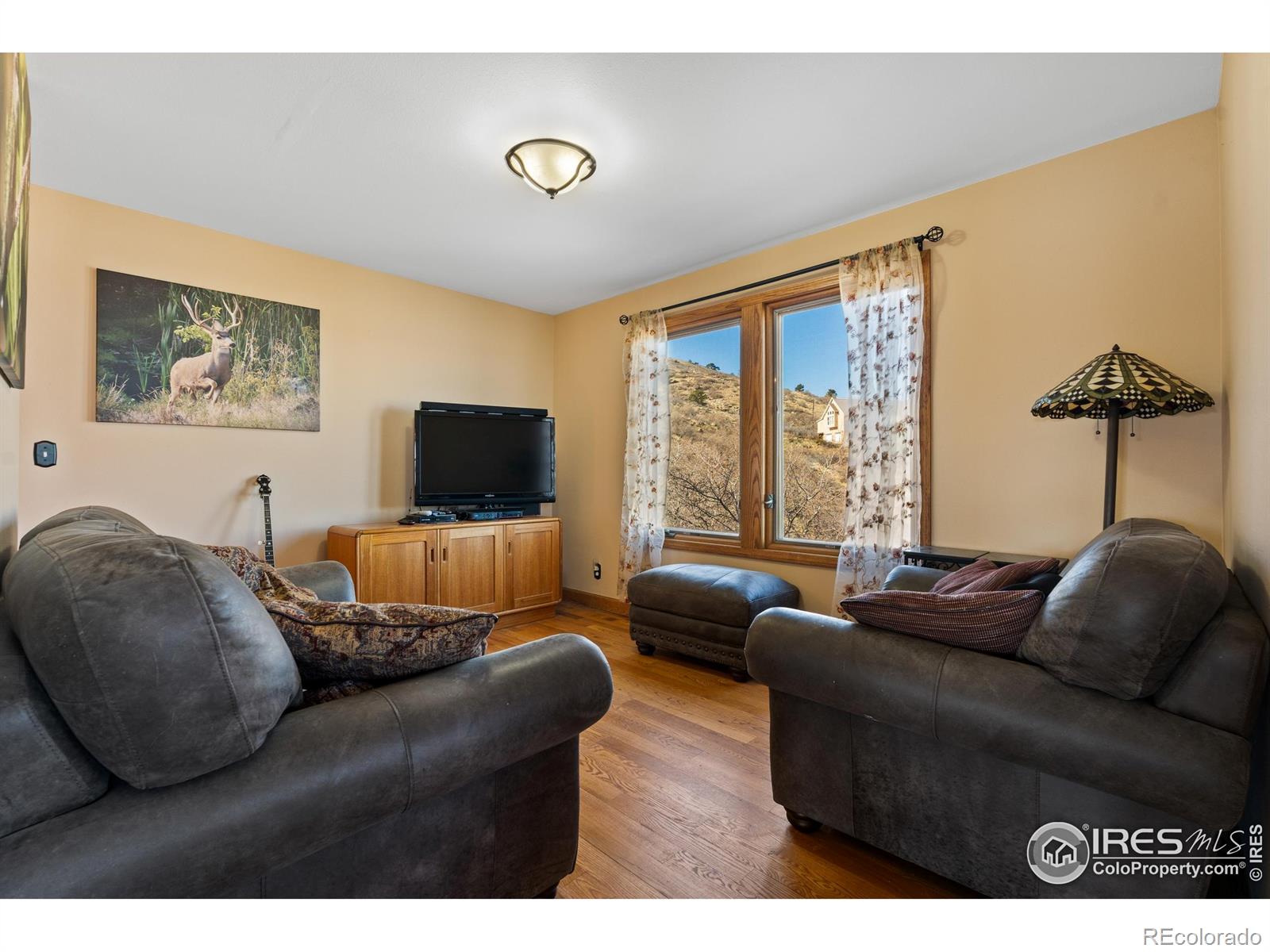 MLS Image #14 for 11730  pointe view drive,longmont, Colorado