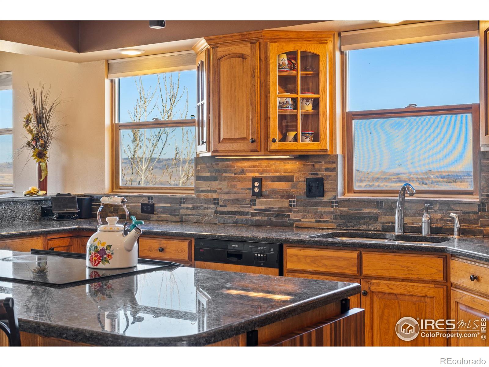 MLS Image #7 for 11730  pointe view drive,longmont, Colorado