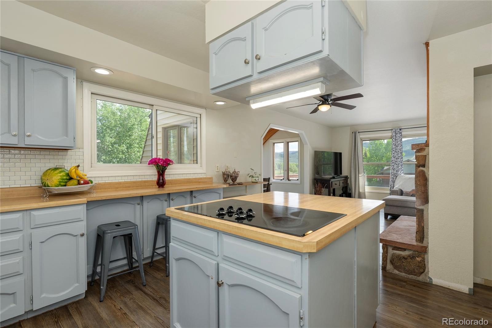 MLS Image #10 for 295  selak drive,granby, Colorado