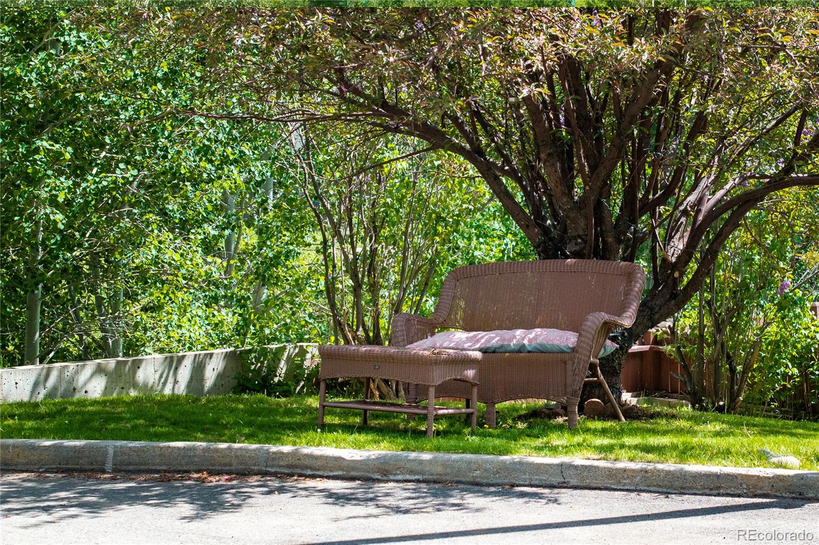 MLS Image #39 for 295  selak drive,granby, Colorado