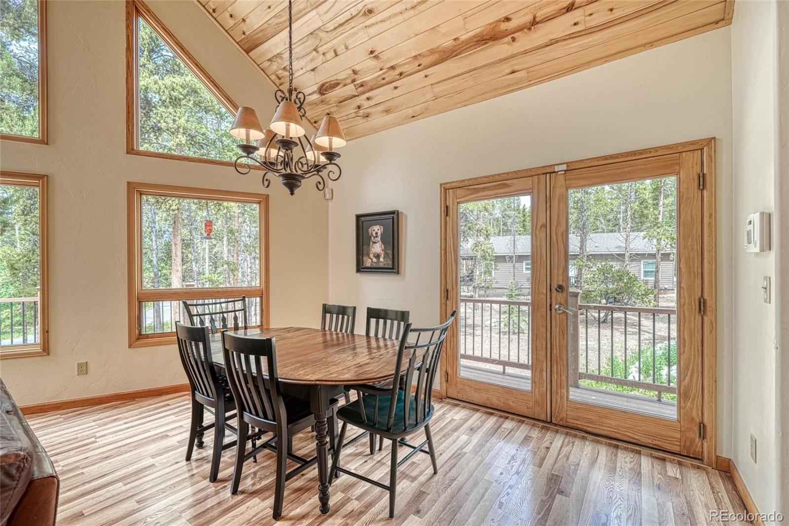 MLS Image #12 for 988  ruby lane,leadville, Colorado