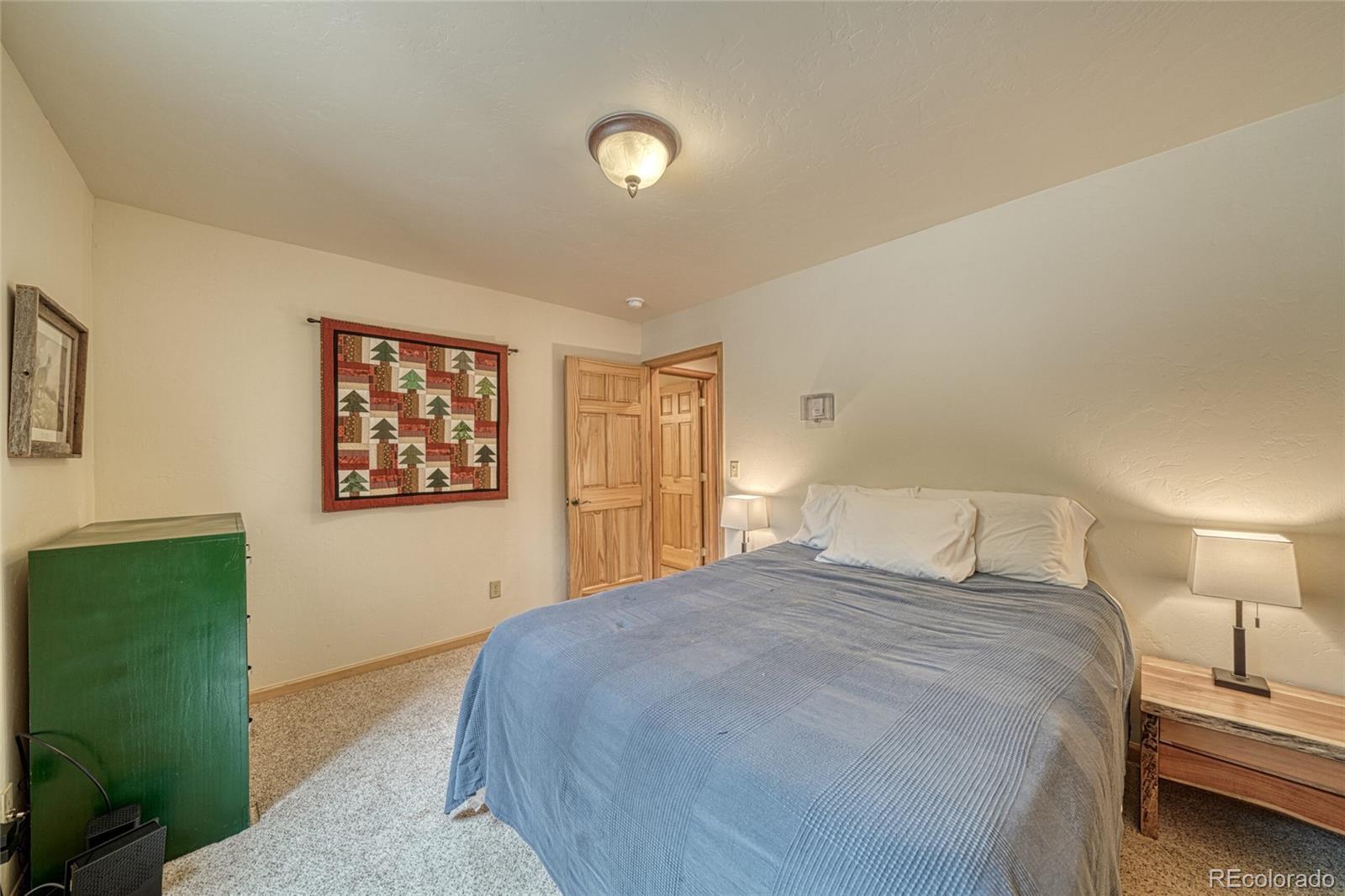MLS Image #16 for 988  ruby lane,leadville, Colorado