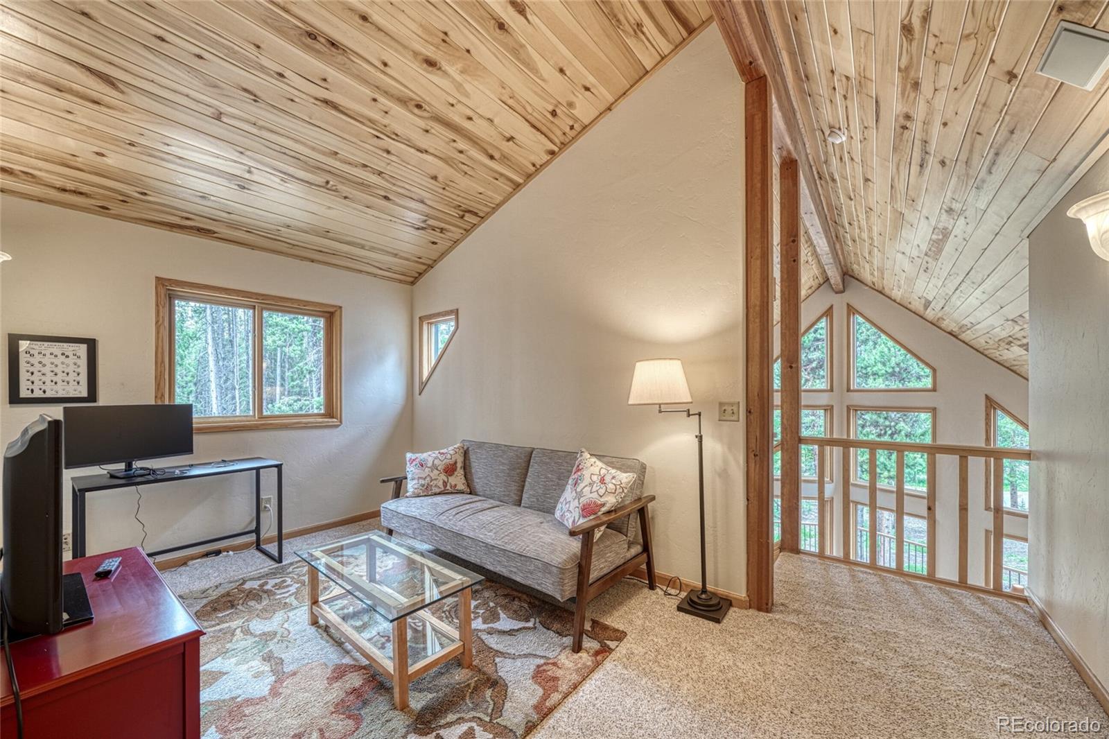 MLS Image #22 for 988  ruby lane,leadville, Colorado