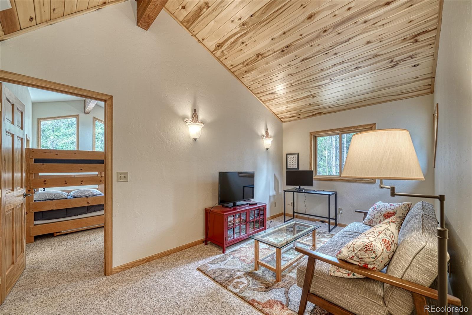 MLS Image #23 for 988  ruby lane,leadville, Colorado