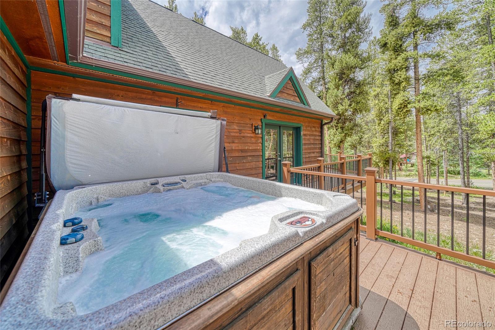 MLS Image #5 for 988  ruby lane,leadville, Colorado