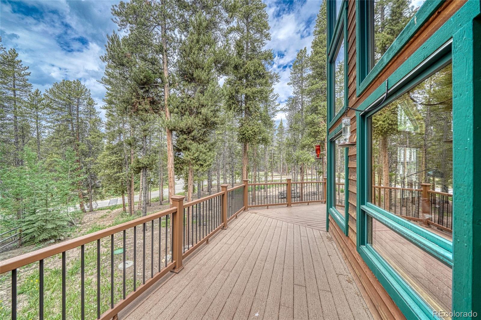 MLS Image #6 for 988  ruby lane,leadville, Colorado