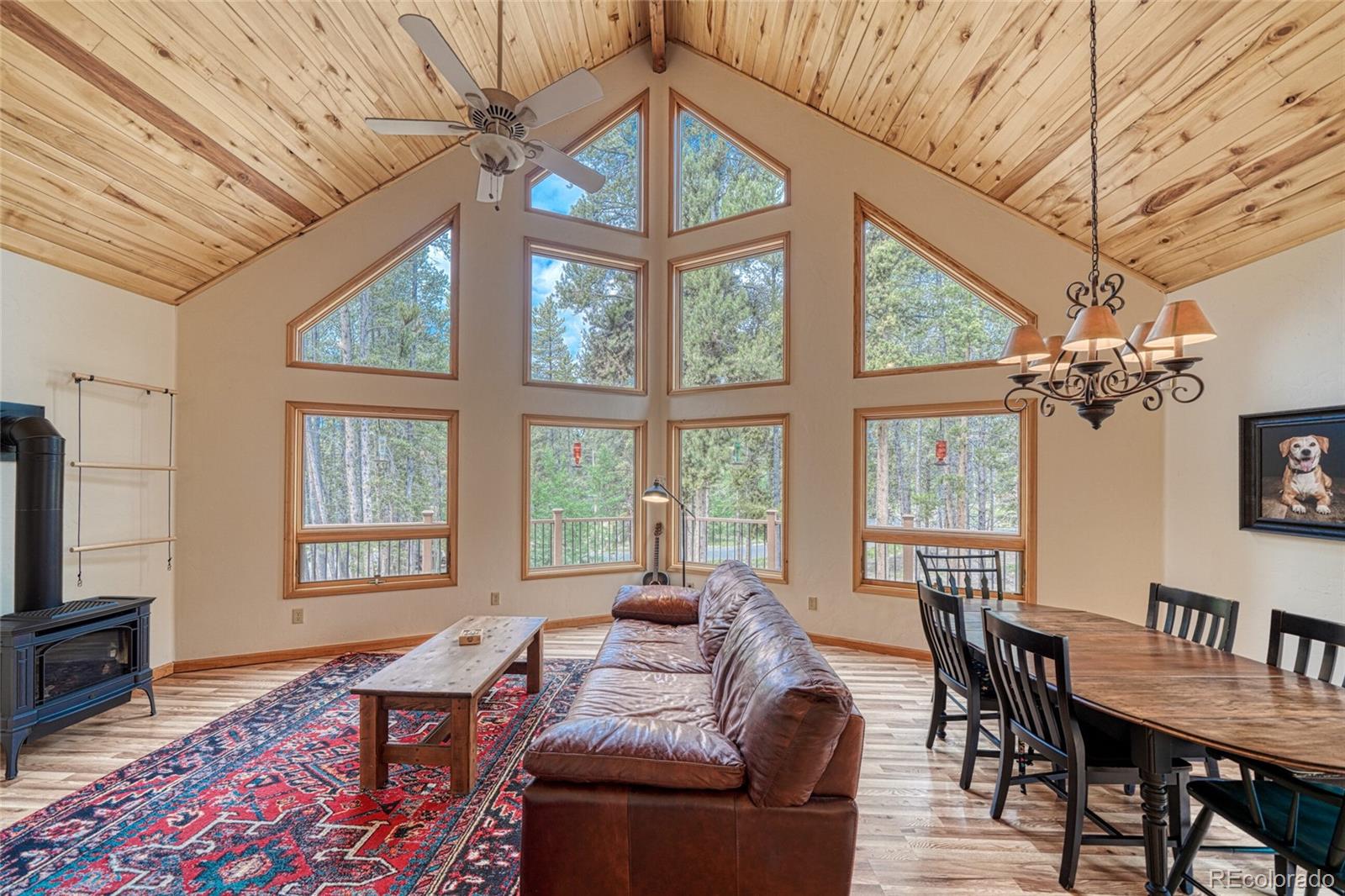 MLS Image #8 for 988  ruby lane,leadville, Colorado