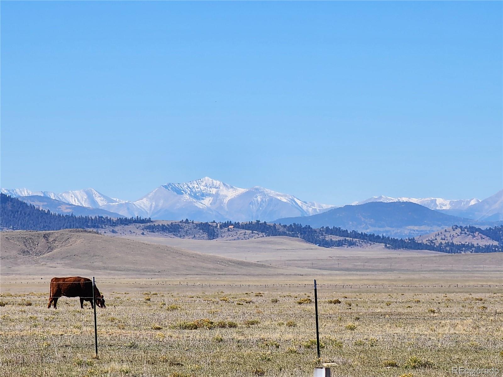 MLS Image #7 for 6558  rio blanco road,hartsel, Colorado