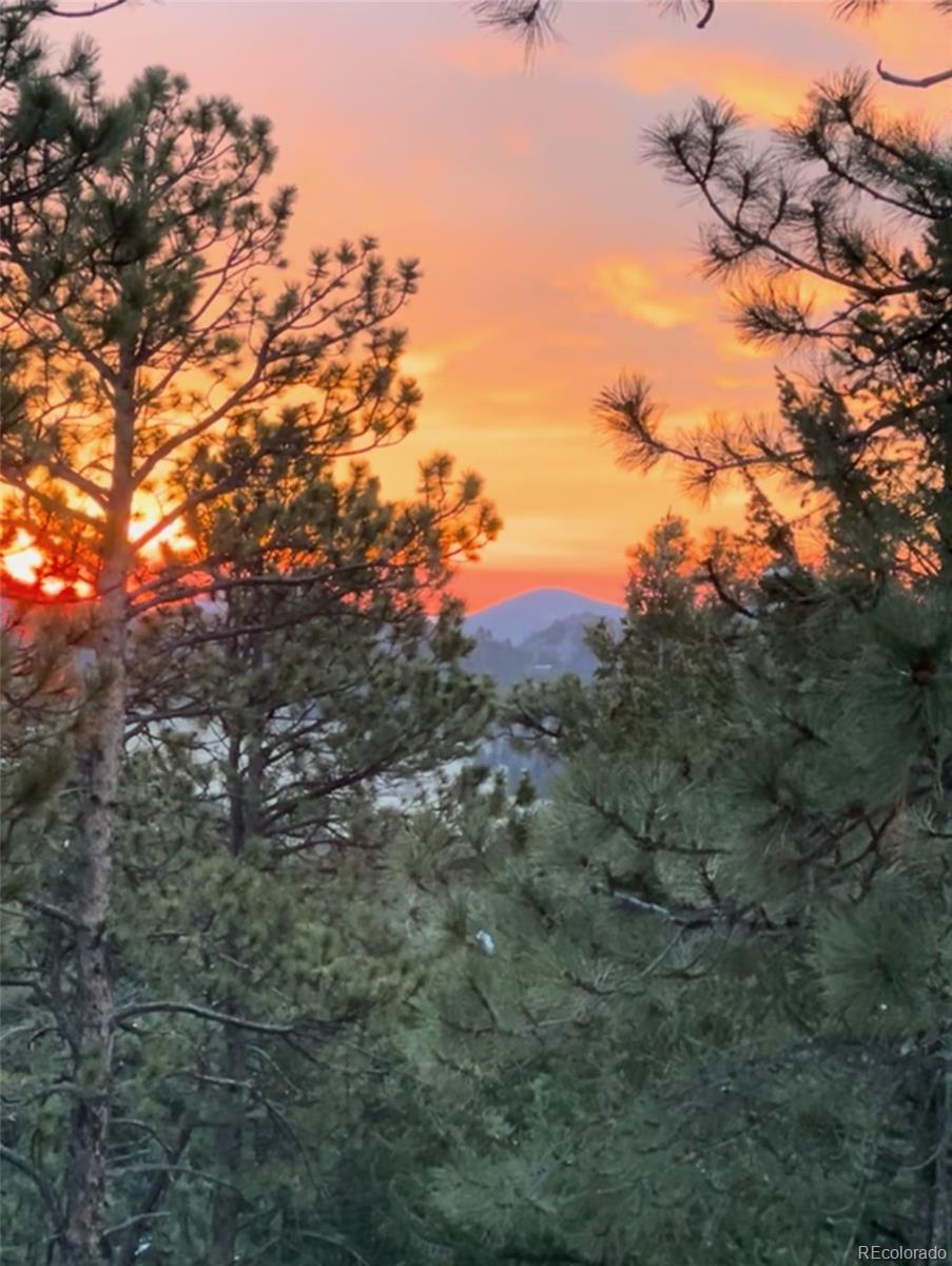 MLS Image #23 for 28550  cavan lane,evergreen, Colorado