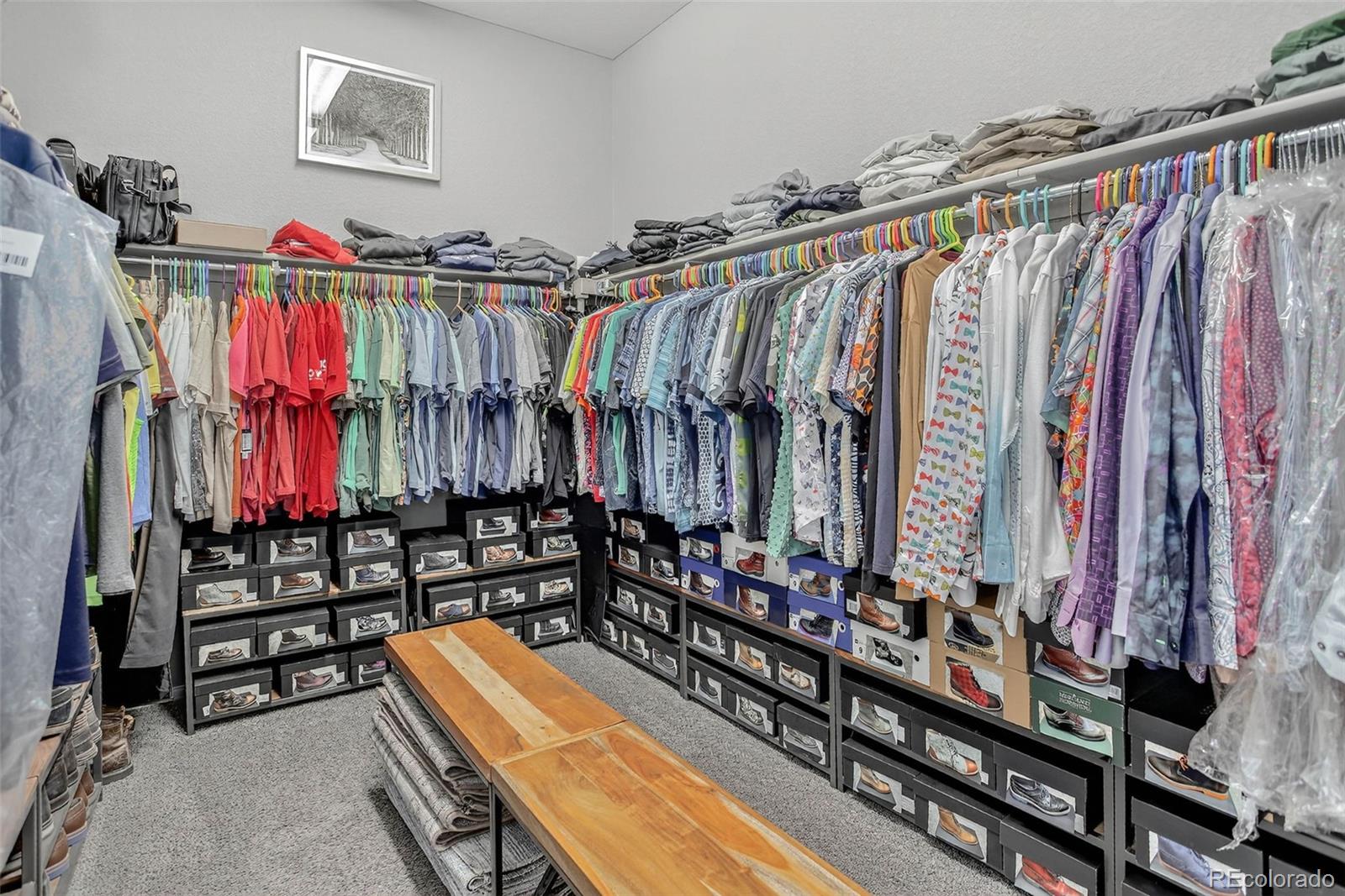 MLS Image #21 for 436  sage grouse circle,castle rock, Colorado