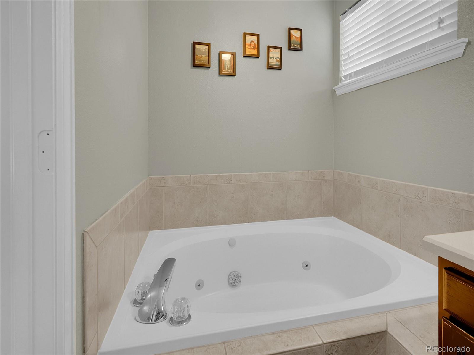 MLS Image #13 for 1234  riddlewood lane,highlands ranch, Colorado