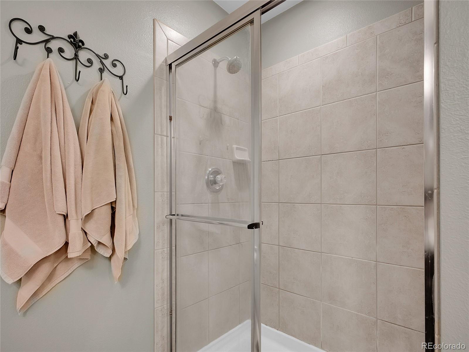 MLS Image #14 for 1234  riddlewood lane,highlands ranch, Colorado