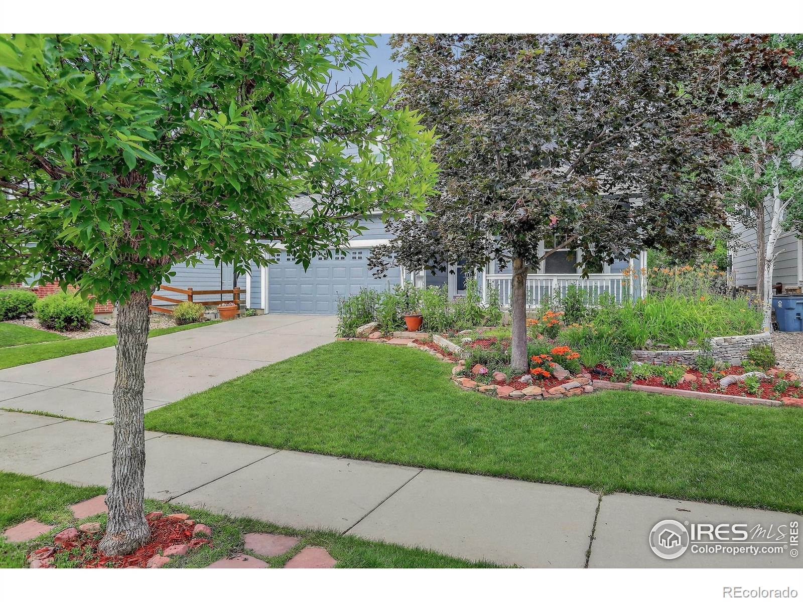 MLS Image #2 for 940  petras street,erie, Colorado