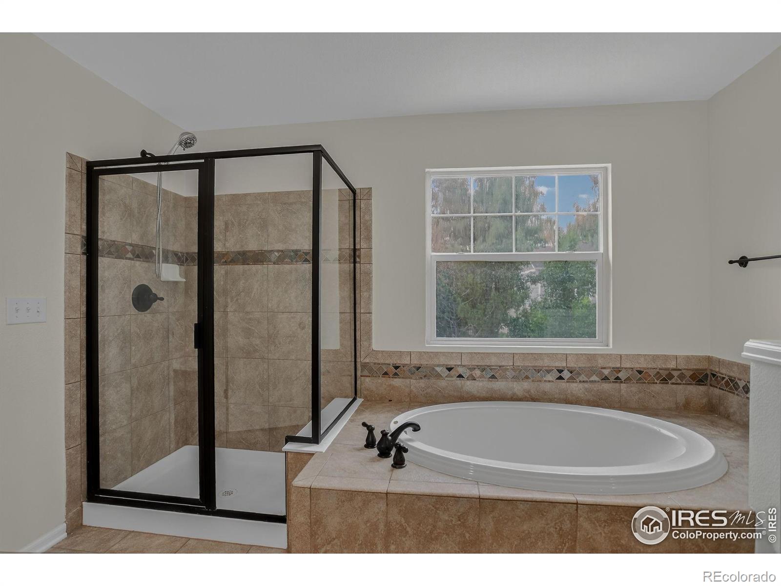 MLS Image #21 for 940  petras street,erie, Colorado