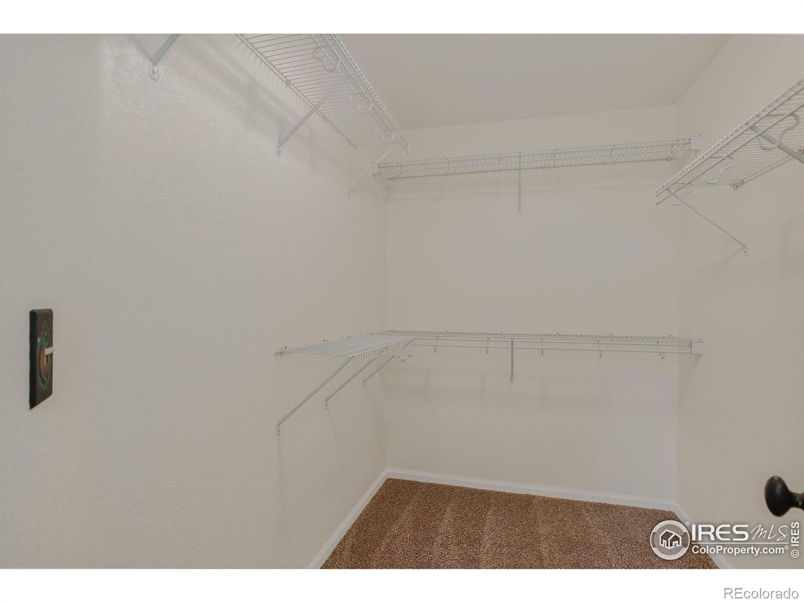 MLS Image #23 for 940  petras street,erie, Colorado