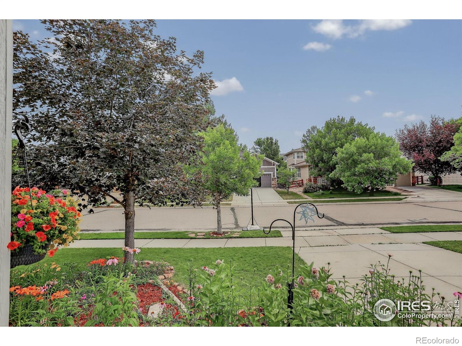 MLS Image #32 for 940  petras street,erie, Colorado
