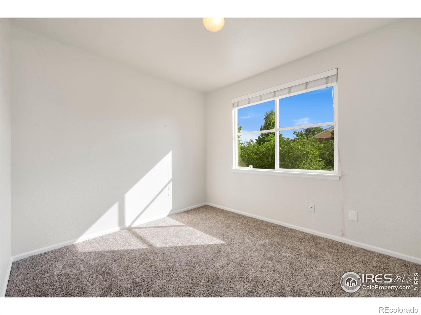 MLS Image #13 for 2075  grays peak drive,loveland, Colorado