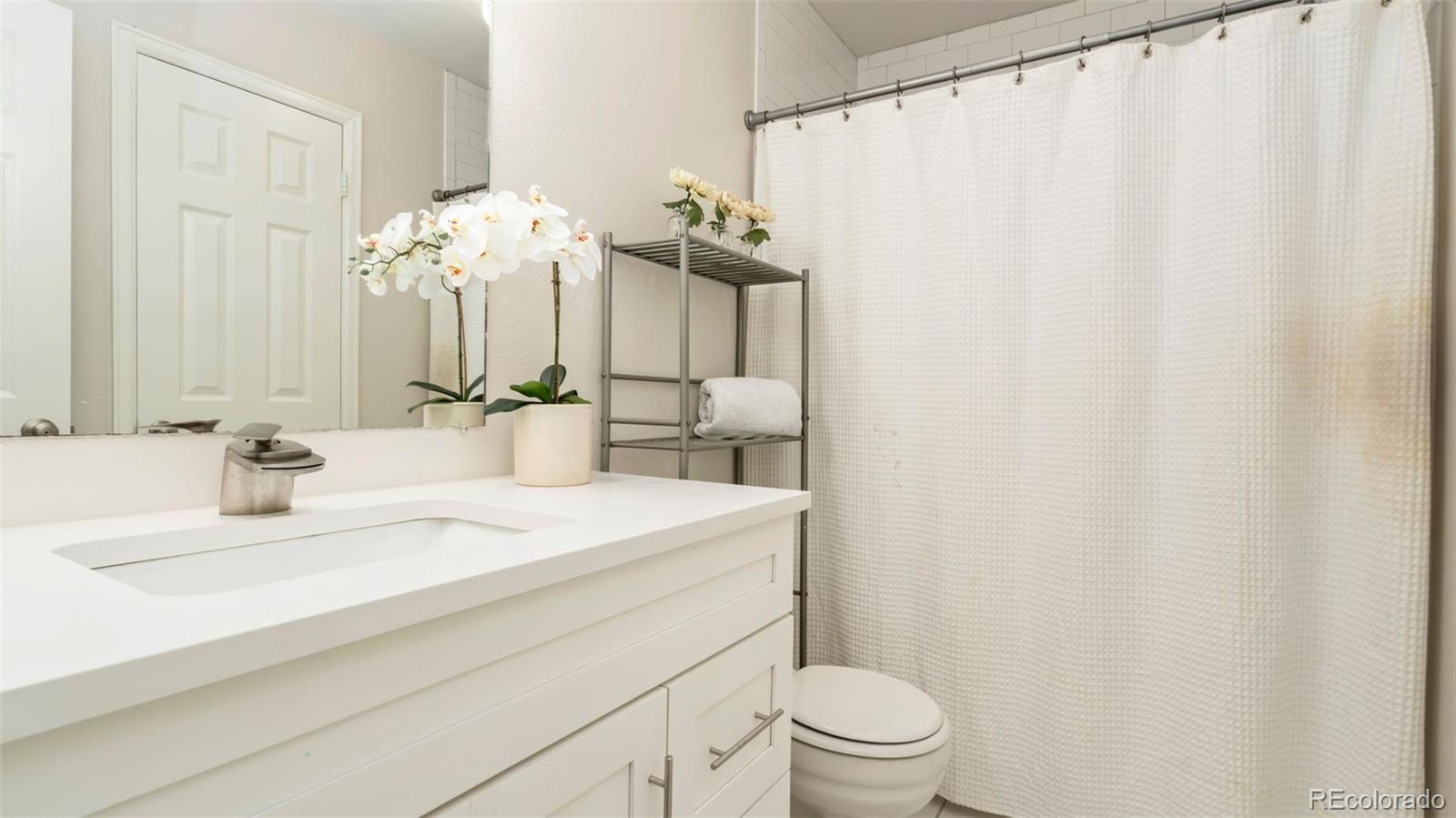 MLS Image #12 for 2918  silverplume drive,fort collins, Colorado