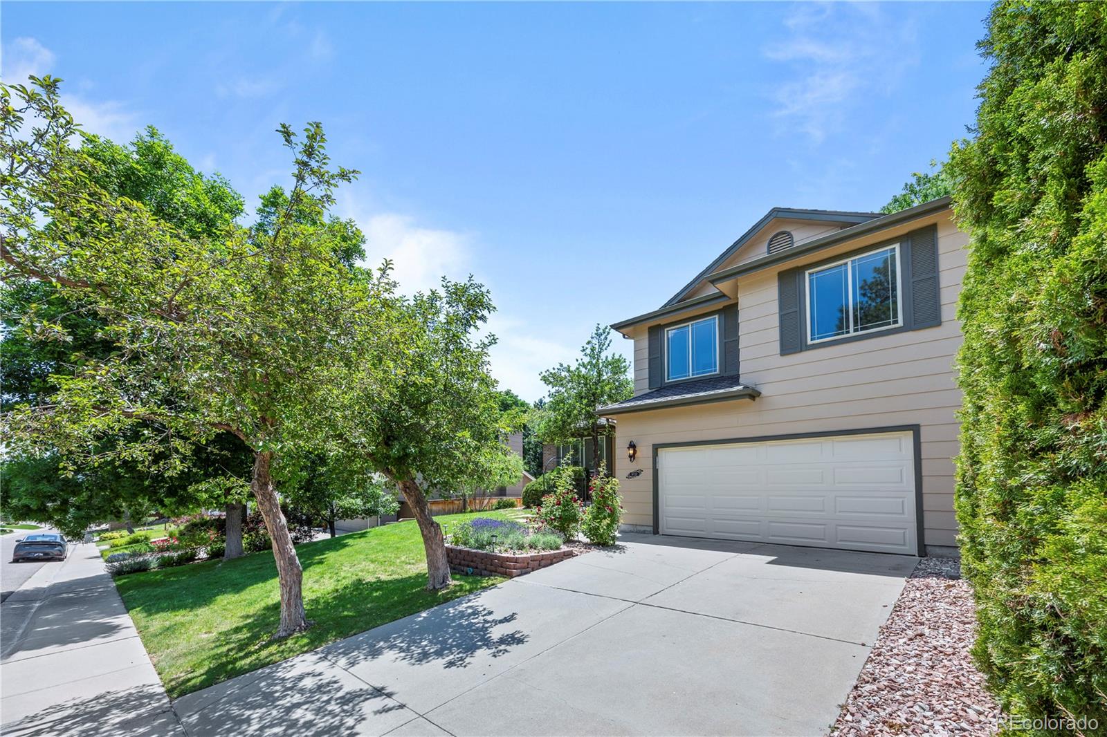 MLS Image #2 for 8725  meadowlark circle,highlands ranch, Colorado