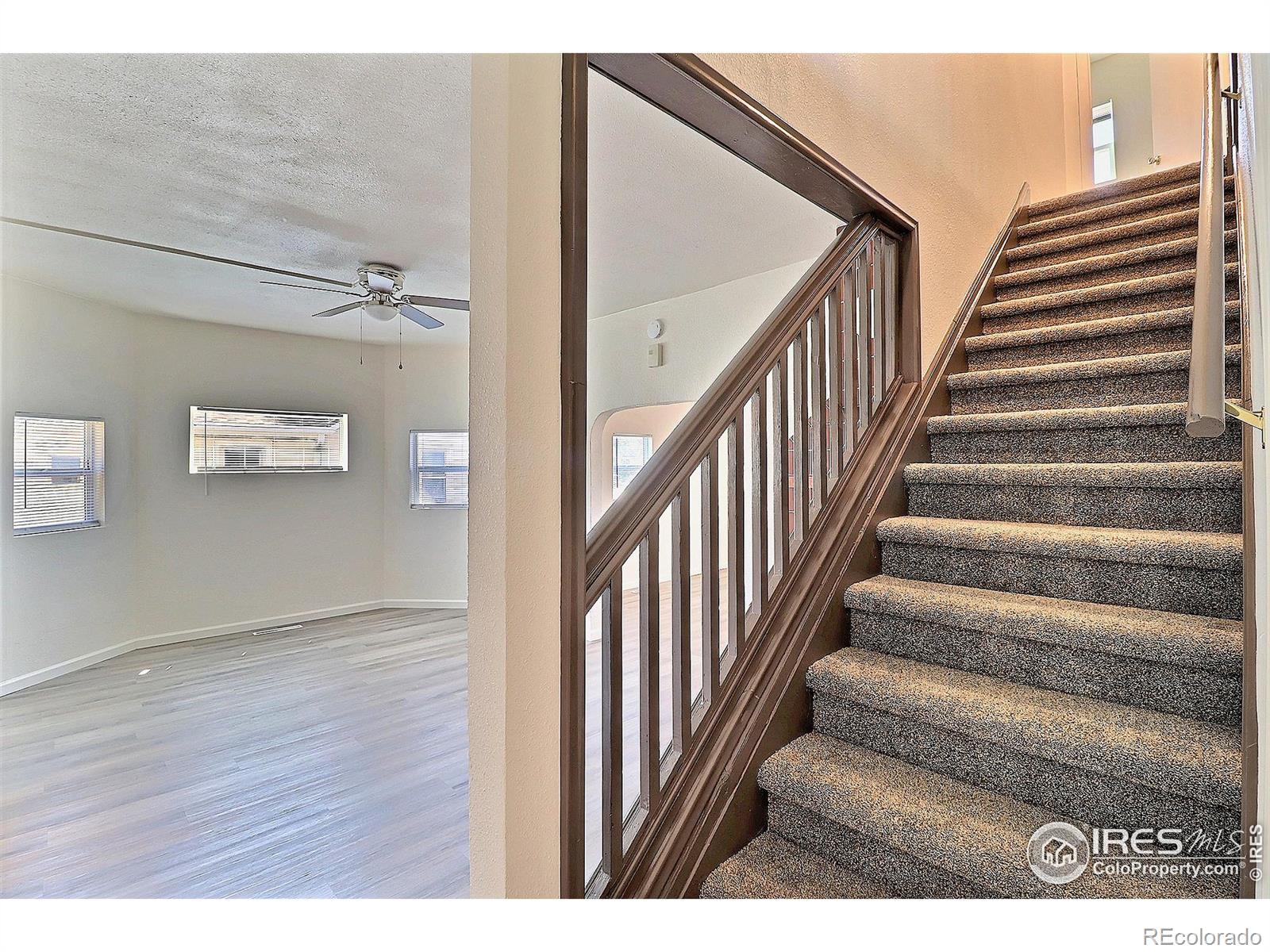 MLS Image #14 for 263 e 2nd street,ault, Colorado