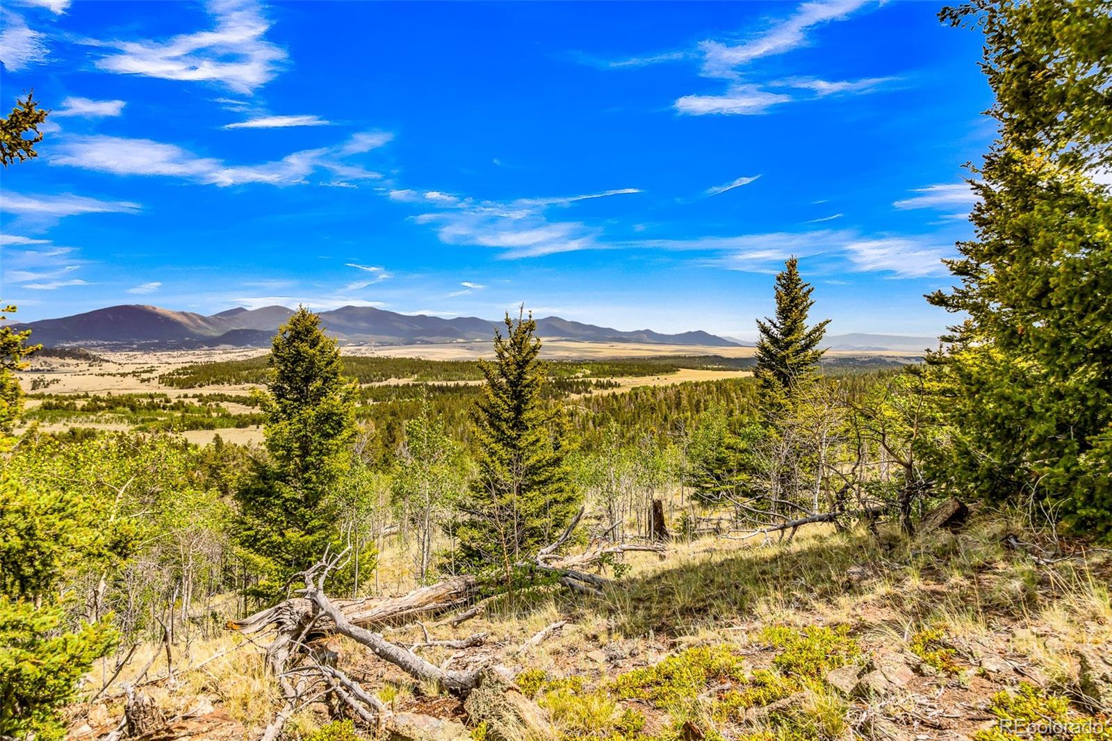 MLS Image #11 for 16  red cloud drive,como, Colorado