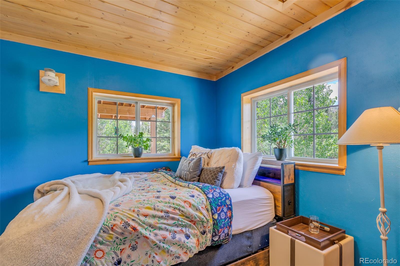 MLS Image #12 for 16  red cloud drive,como, Colorado