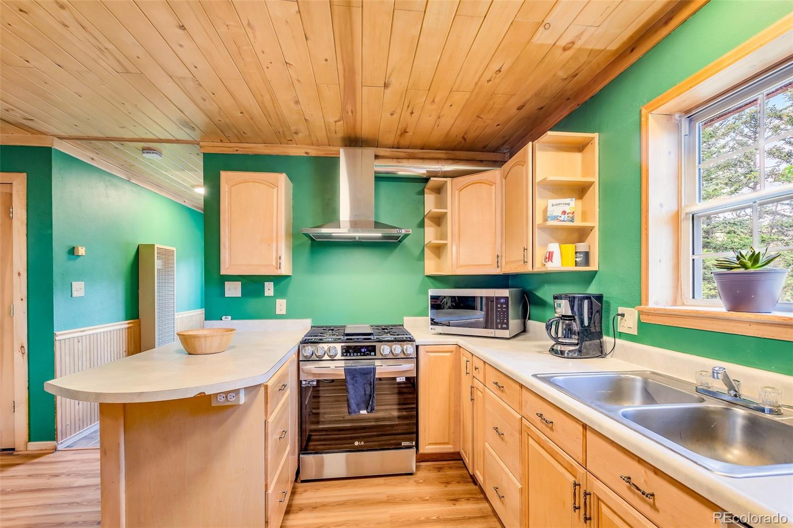 MLS Image #3 for 16  red cloud drive,como, Colorado
