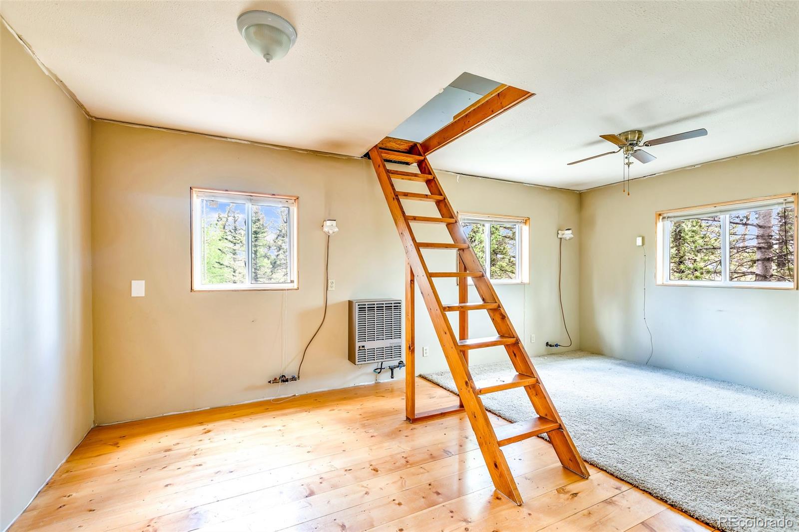 MLS Image #37 for 16  red cloud drive,como, Colorado