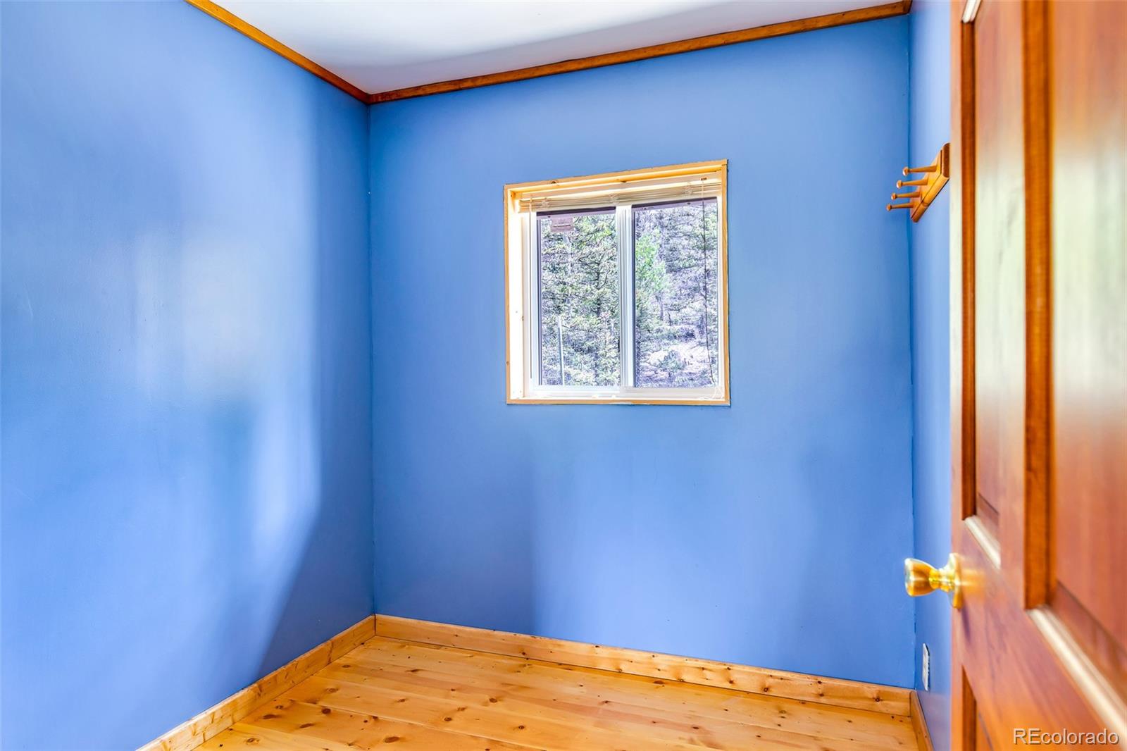 MLS Image #38 for 16  red cloud drive,como, Colorado