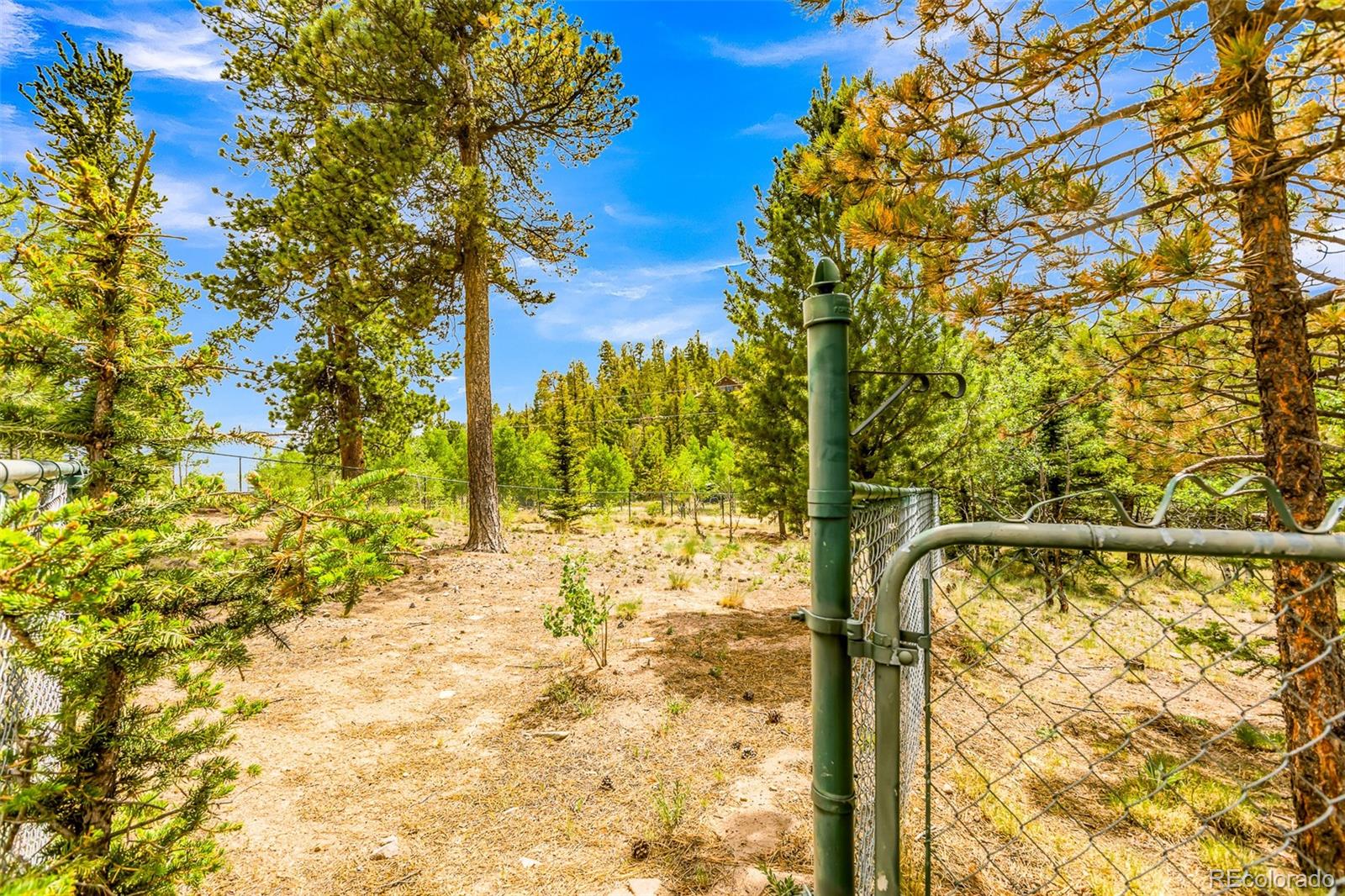 MLS Image #46 for 16  red cloud drive,como, Colorado