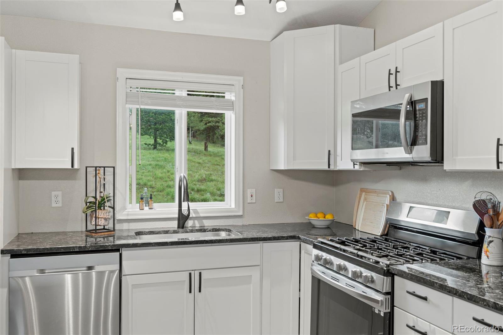 MLS Image #11 for 255  twin lakes drive,divide, Colorado