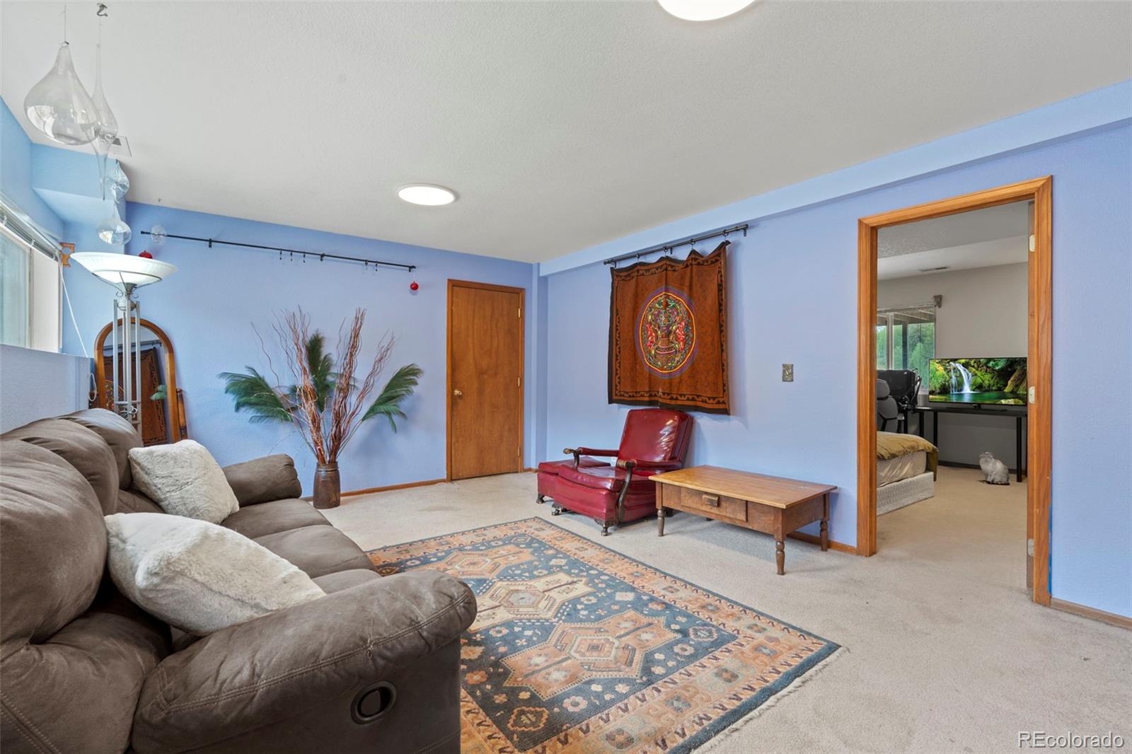 MLS Image #28 for 255  twin lakes drive,divide, Colorado